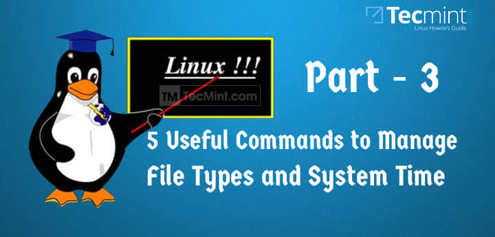 在 Linux 中管理文件类型和设置时间