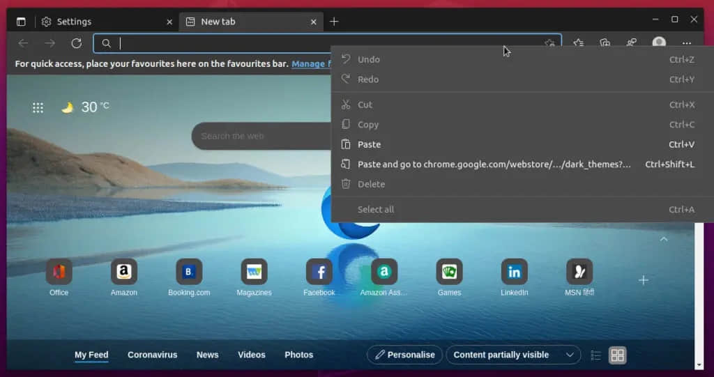Edge in Dark Theme