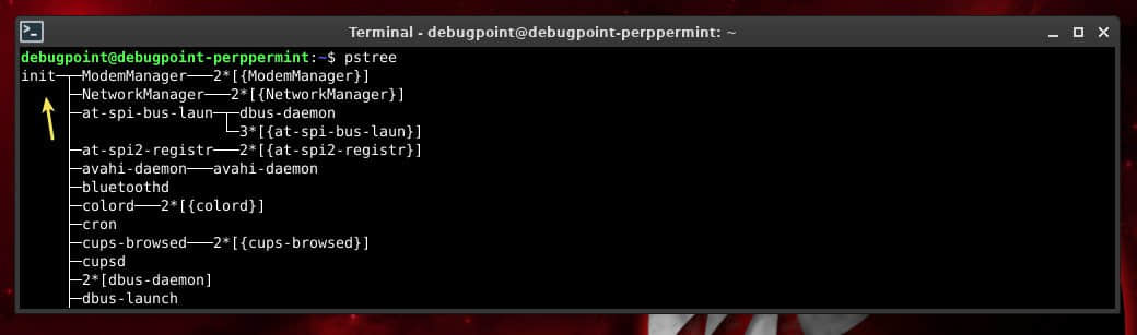 pstree 显示使用 init